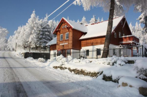 Śnieżynka